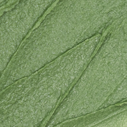 Parsley Cica Calming Foam