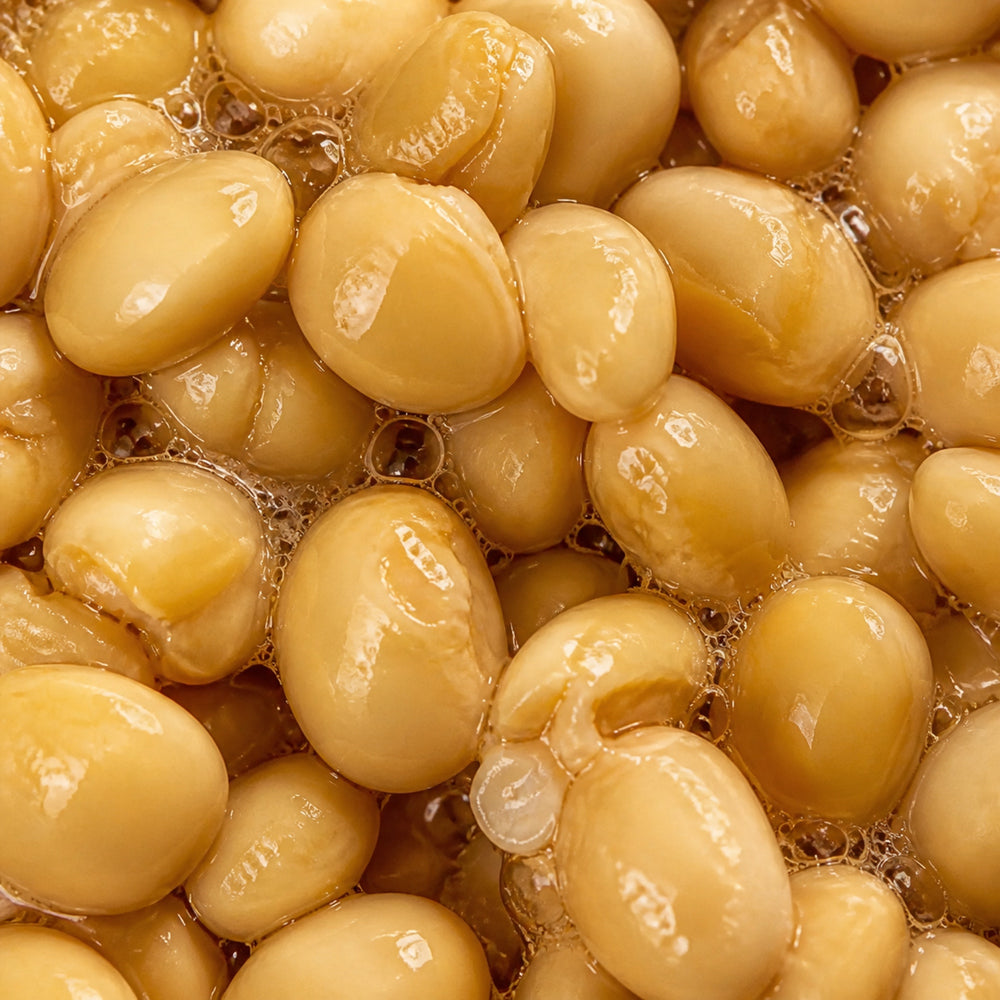 Lactobacillus/Soybean Ferment Extract