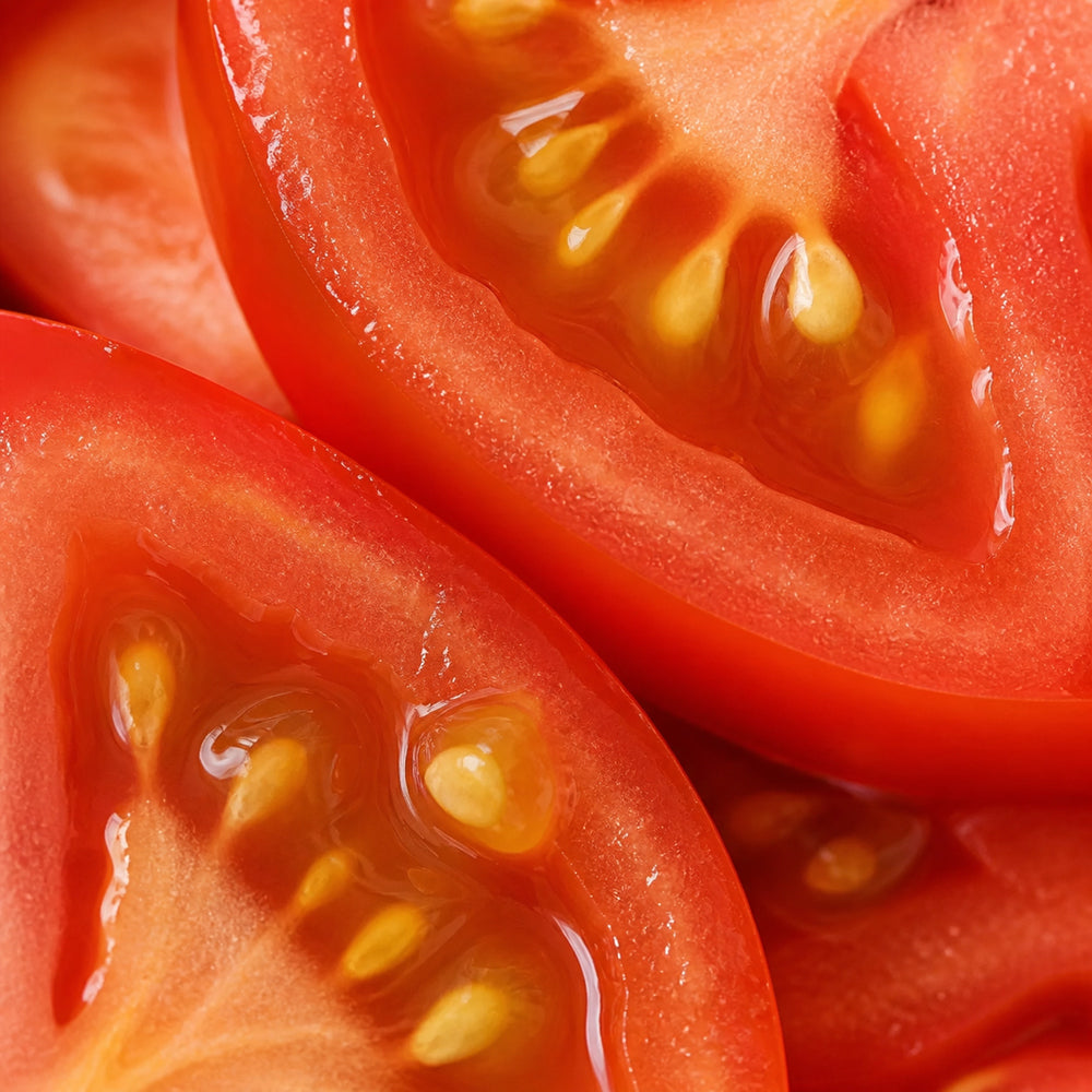 토마토 추출물